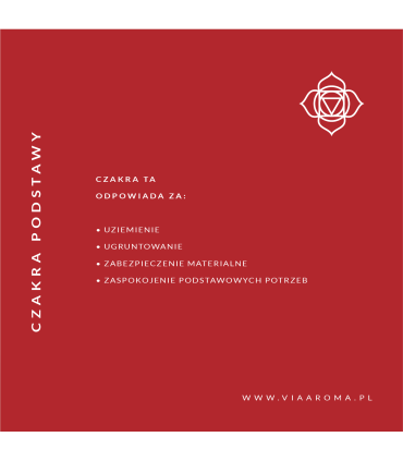 Bransoletka Zapachowa Harmonia Czakr Stalowa | Via Aroma