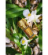 Naturalny Absolut Jaśminu Grandiflorum